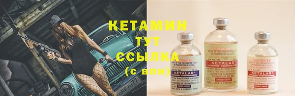 прущие грибы Баксан