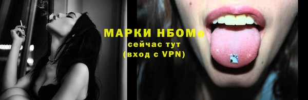 прущие грибы Баксан