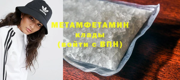 прущие грибы Баксан