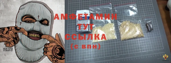 МДПВ Нея