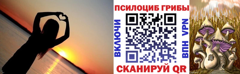 Псилоцибиновые грибы Psilocybine cubensis  что такое   Тихвин 